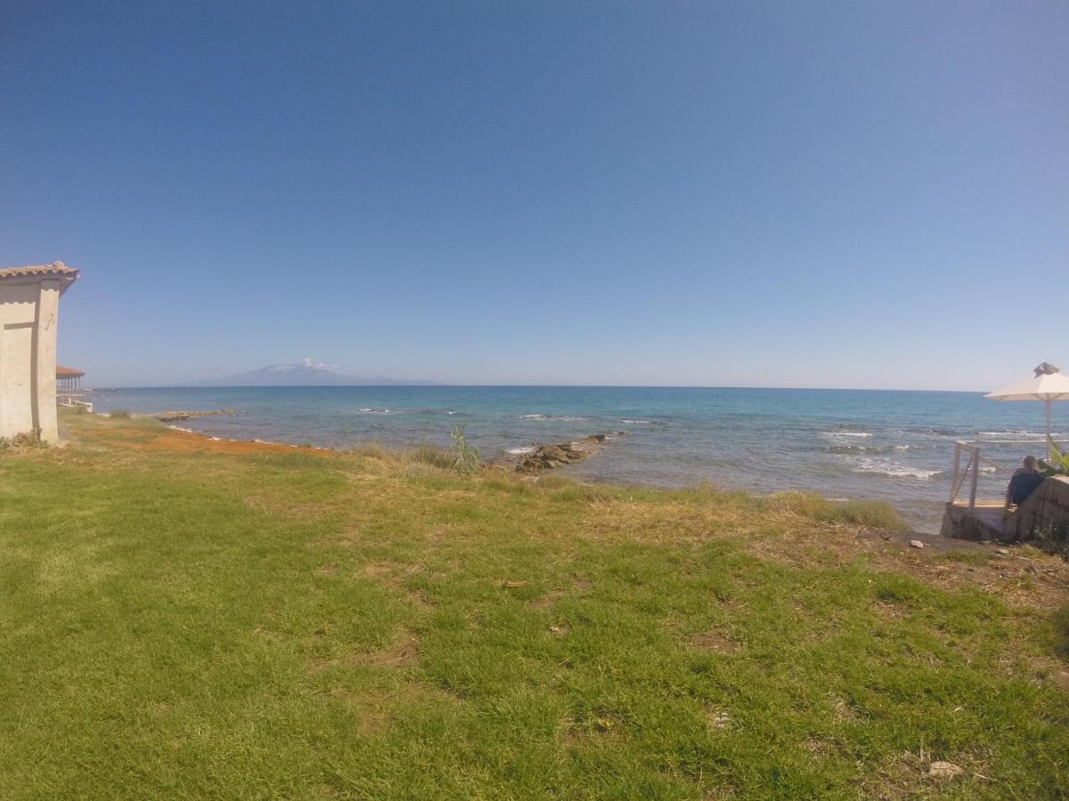 Kimiro Drosia Zante Bed & Breakfast Psarou  ภายนอก รูปภาพ